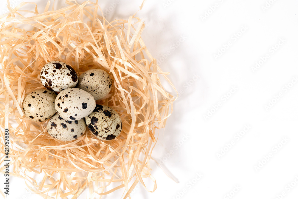 Obraz premium many quail eggs on white background