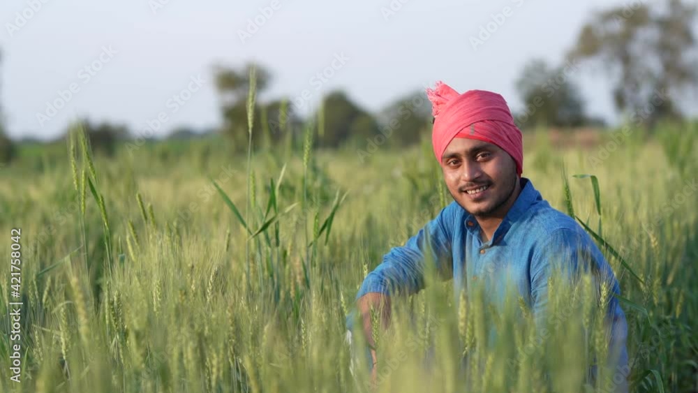 Young indian farmer at green wheat field Young indian farmer at green wheat field