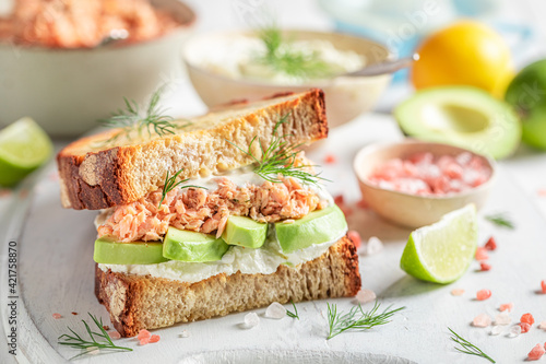 Tasty sandwich with salmon and avocado for fresh lunch.