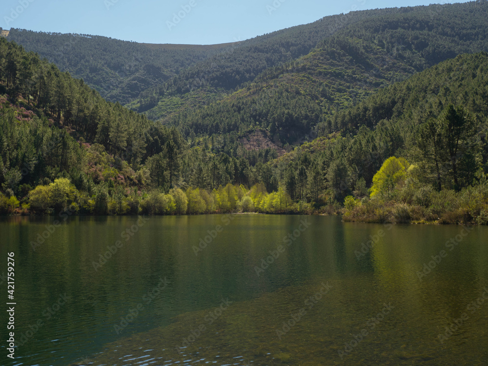Fototapeta premium Lake between mountains with green pines
