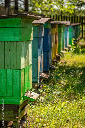 Handmade apiary in garden. Production of ecological honey.