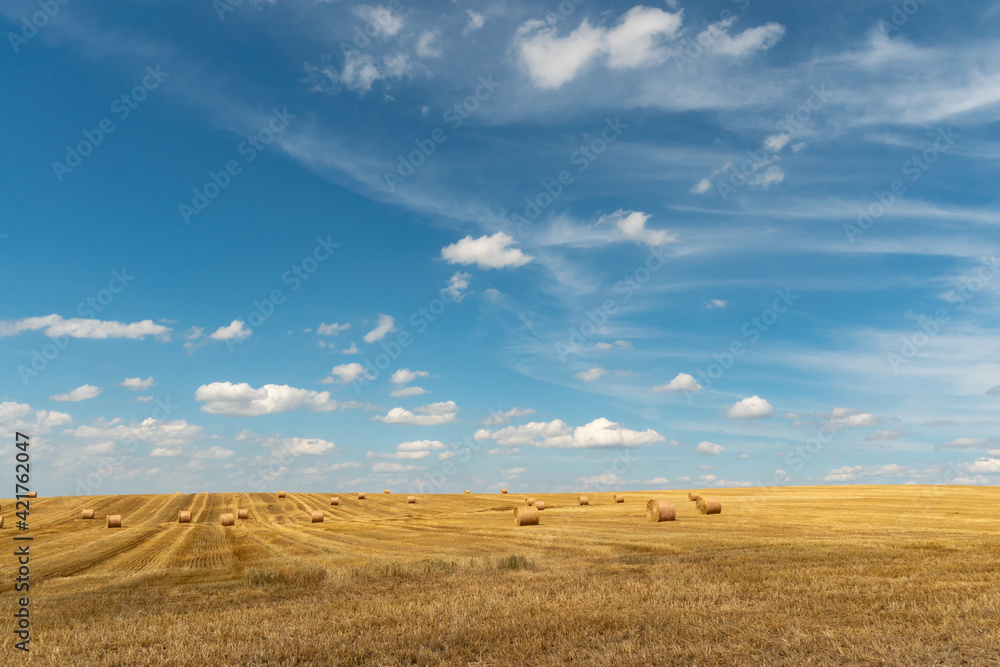 Hay bales dry in the field on a warm summer day under beautiful fluffy clouds and a blue sky. Beautiful rural landscape. The season of grain harvesting and foraging for livestock. cereals and legumes