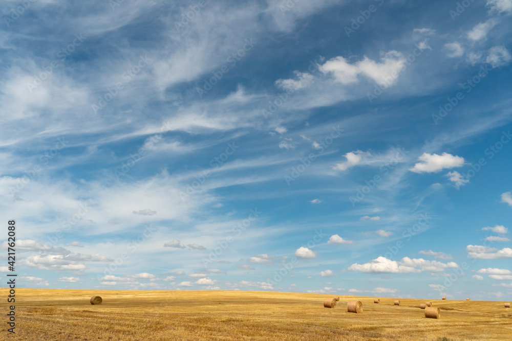 Fototapeta premium Hay bales dry in the field on a warm summer day under beautiful fluffy clouds and a blue sky. Beautiful rural landscape. The season of grain harvesting and foraging for livestock. cereals and legumes