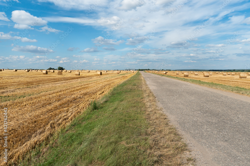 An old road between two rural fields. Agricultural field with wheat and beets. Bales of hay in a field under a beautiful blue sky and fluffy clouds. Summer rural landscape. Agrotourism.