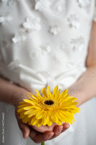 woman holding a yellow flower gerbera