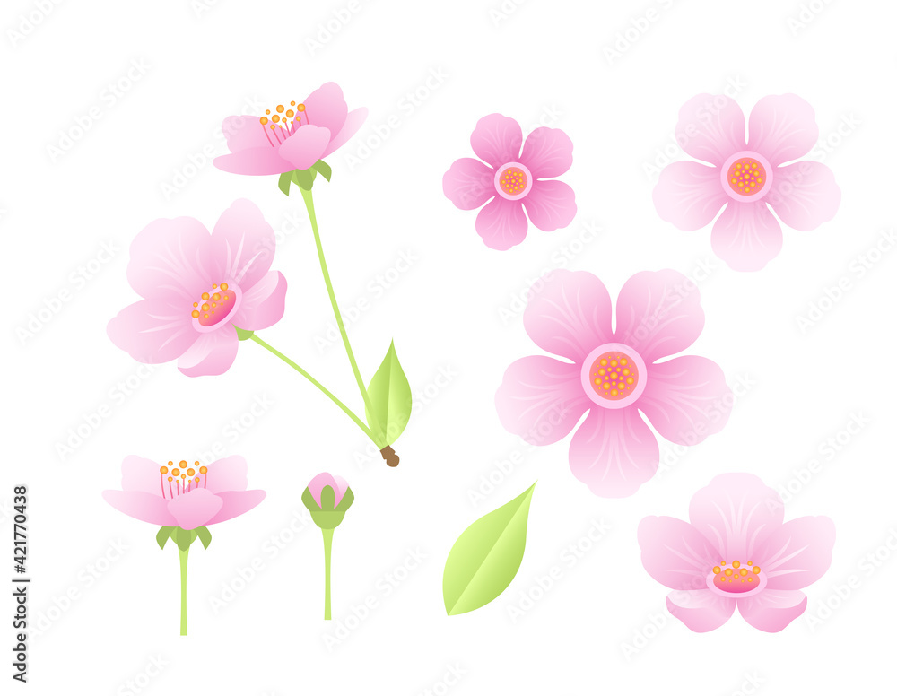 Pink sakura flowers set. Blooming cherry isolated on a white background. Vector cartoon illustration.