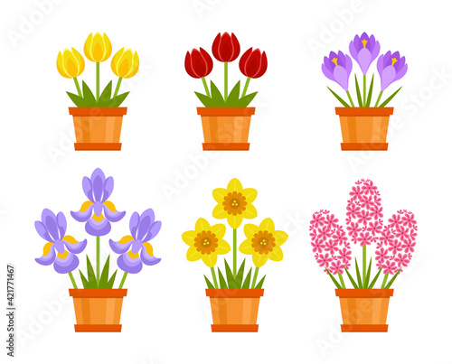 Fototapeta Naklejka Na Ścianę i Meble -  Set of spring cute flowers in pots. Vector icons of red and yellow tulip, daffodil, crocus, iris and pink hyacinth Isolated on white background. Simple flat Illustration. Gift holiday bouquets.holiday