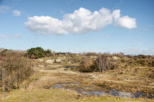 Blue sky with a fluffy cloud over a landscape with dunes, trees, shrubs and ponds near Rockanje on the island of Voorne, The Netherlands in early spring