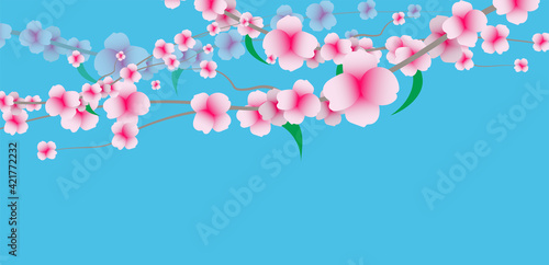 fiori, piante, primavera , erbe	
