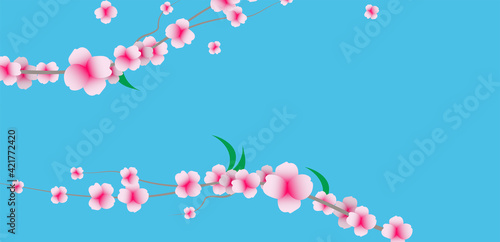 fiori, piante, primavera , erbe	
