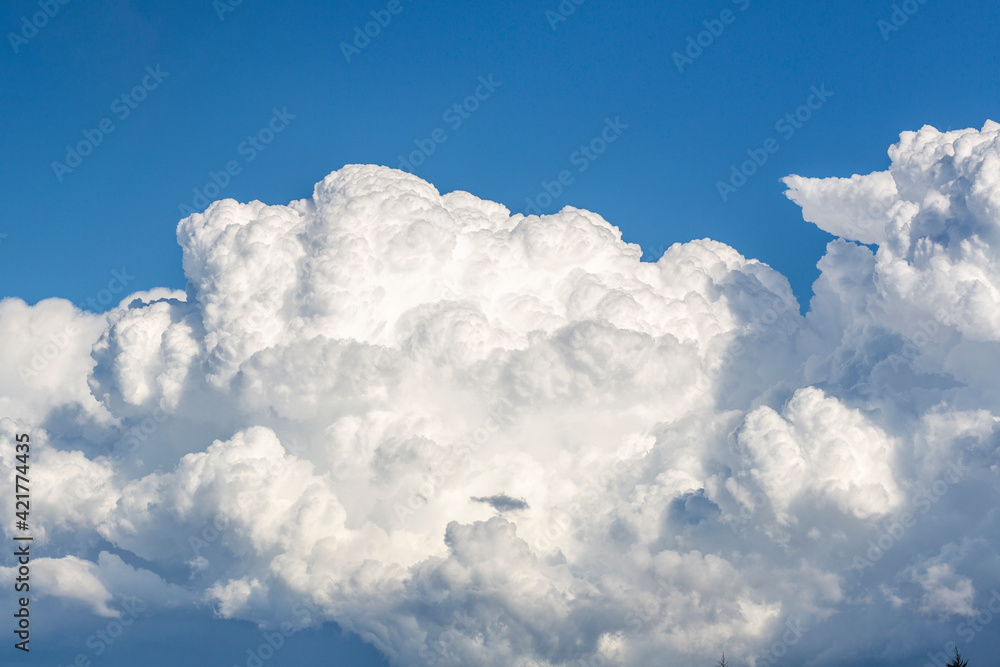 Dense white clouds in the blue sky, panoramic sky Dense white clouds in the blue sky, panoramic sky