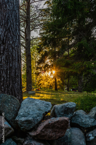 Vertical photo of sun setting in European countryside cemetery surrounded with rock fence and pine trees in Kärdla, Hiiumaa, Estonia