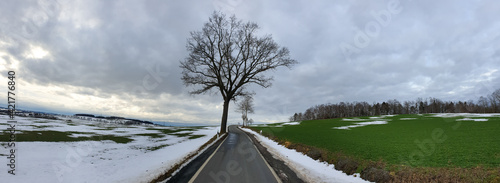 scenic panorama view of natural landscape under a cloudy sky