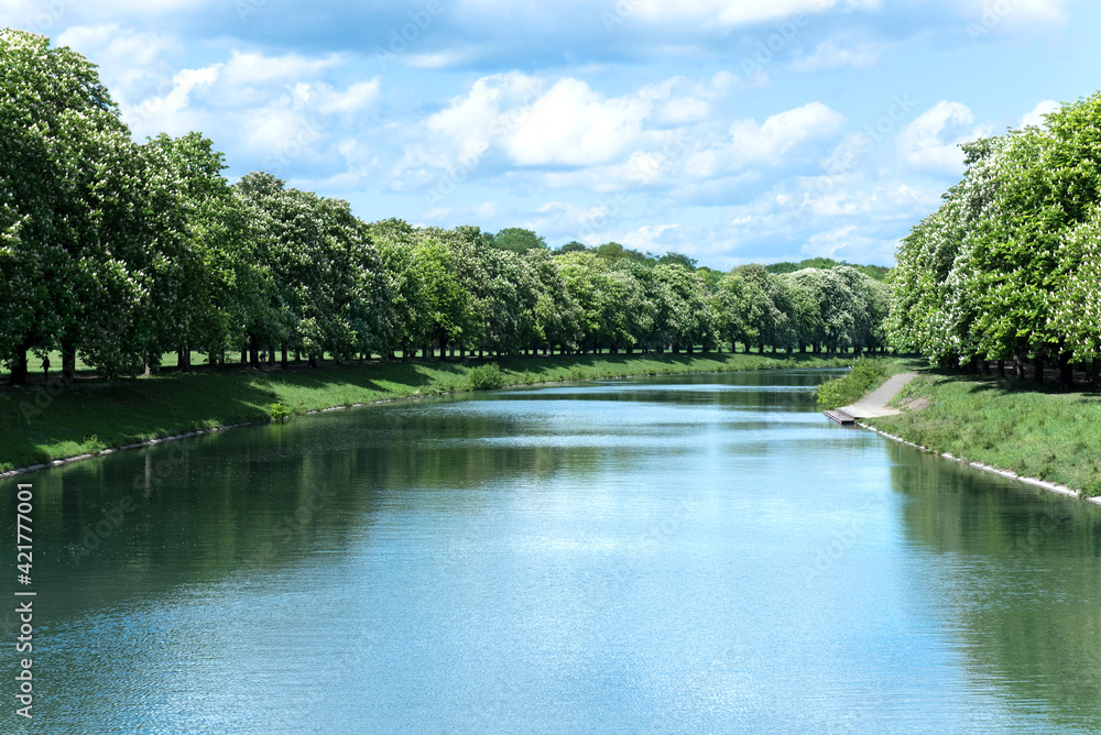Obraz premium Kastanienbäume, Frühling, Wasser, Kastanienblüte