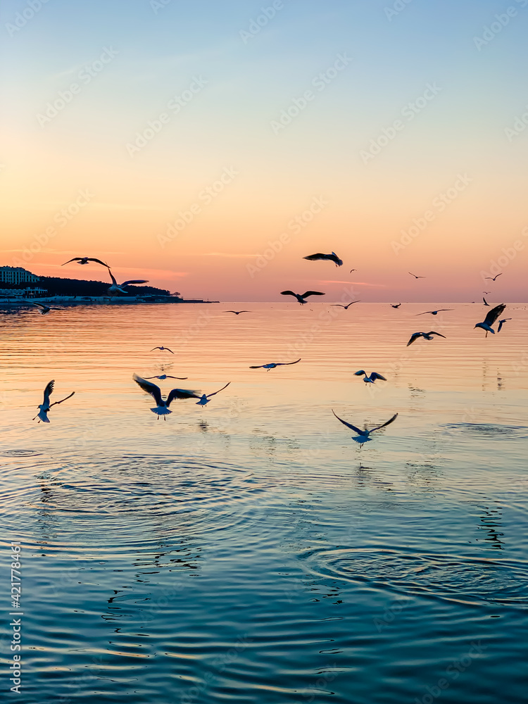 Birds fly over the sea at sunset