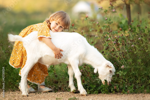 Child cute girl in yellow cotton dress plays and hugs white goat eating grass in countryside, summer nature outdoor.Friendship of kid and farm animal photo