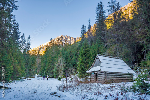 A wooden mountain hut in a valley where old coniferous forest grows. Snowy season in Tatra National Park, Poland. Selective focus on the house, blurred background.