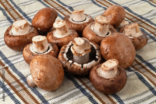 Champignon mushrooms on a towel. Brown champignons. A bunch of mushrooms.