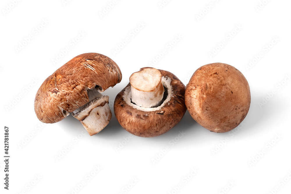 Mushrooms isolated on white. Three brown champignons mushrooms. A bunch of mushrooms. Mushrooms isolated on white. Three brown champignons mushrooms. A bunch of mushrooms.