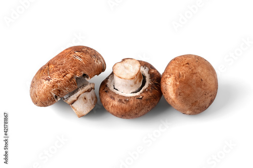 Mushrooms isolated on white. Three brown champignons mushrooms. A bunch of mushrooms.