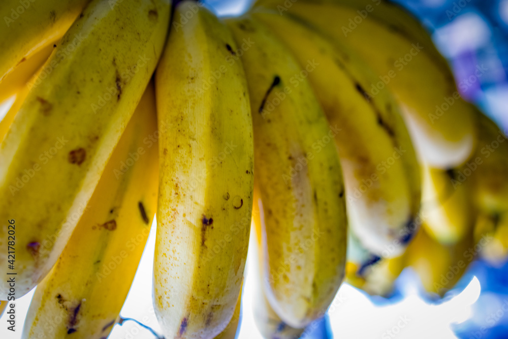 Delicious healthy bananas