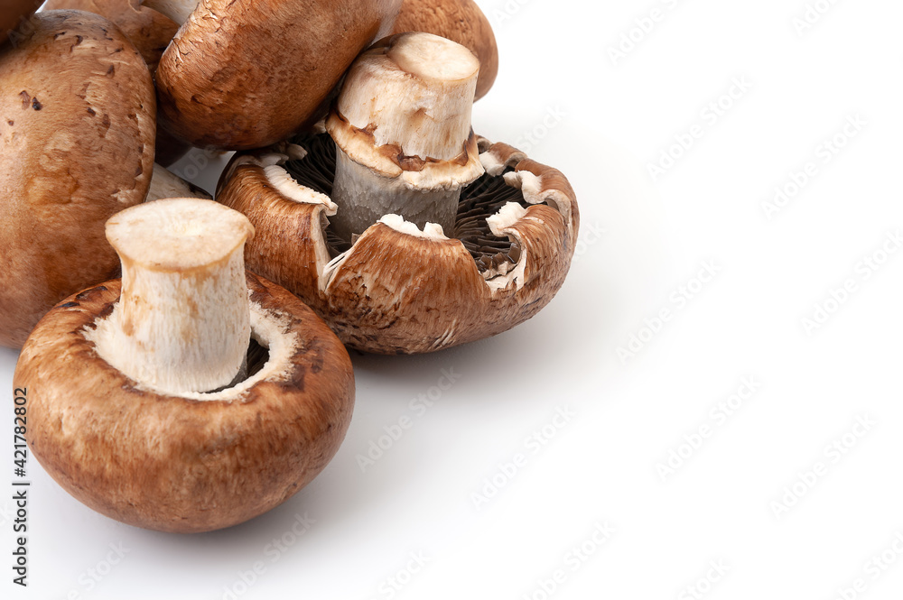 Fresh champignon mushrooms isolated on white background. Brown wet mushrooms with copy space. Bunch of raw mushrooms. Fresh champignon mushrooms isolated on white background. Brown wet mushrooms with copy space. Bunch of raw mushrooms.