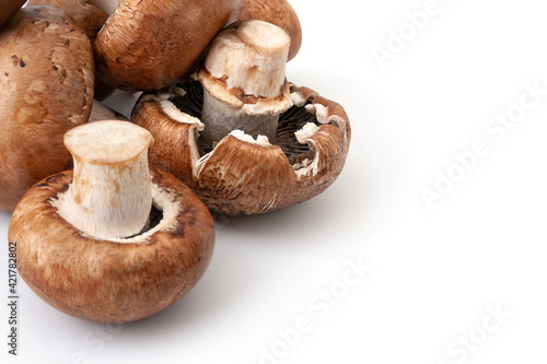 Fresh champignon mushrooms isolated on white background. Brown wet mushrooms with copy space. Bunch of raw mushrooms.