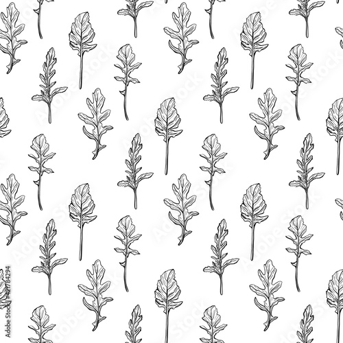 Arugula seamless pattern. Arugula leaves on a white background. Spicy and aromatic Italian seasoning. Hand-drawn vector illustration