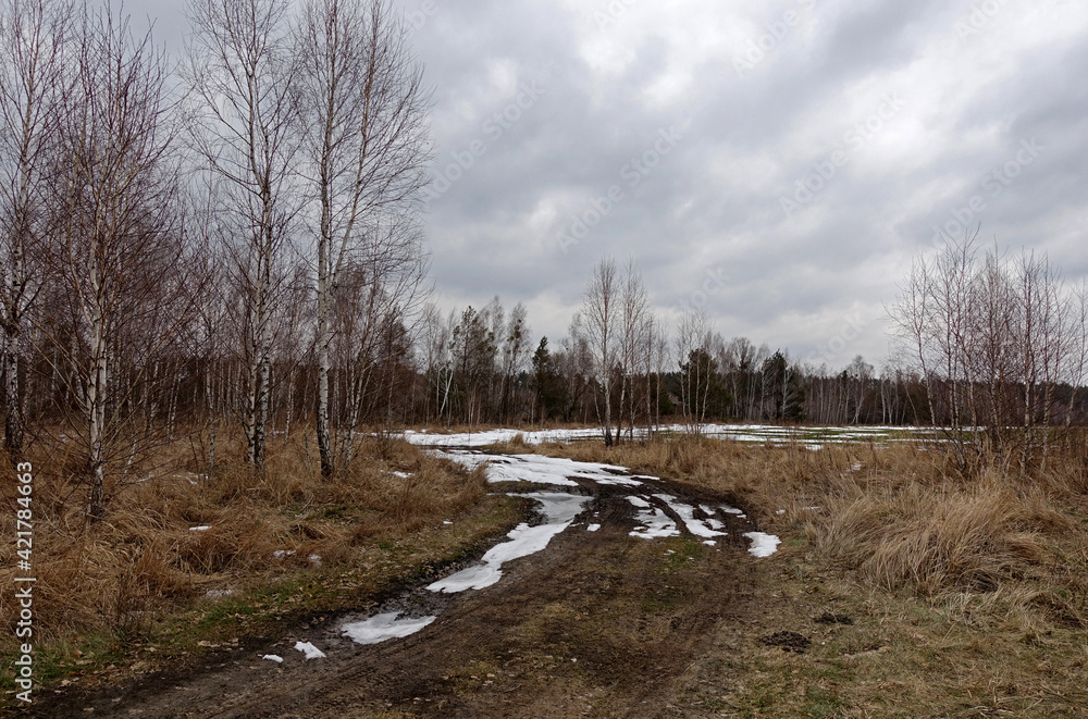 The last snow on the country road. The last snow on the country road.