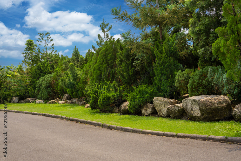 Topiary garden style, asphalt walkway in gardens, pine tree and greenery bush