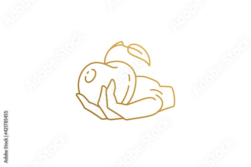 Human hand with apple silhouette linear vector illustration.