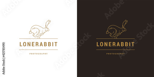 Running rabbit logo template linear vector illustration