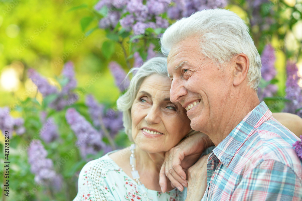 portrait of beautiful senior couple hugging portrait of beautiful senior couple hugging