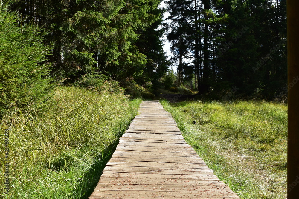 Fototapeta premium Landschaftsfotografie im Harz