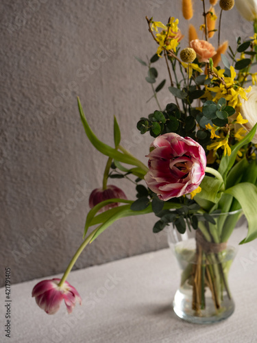 Bouquet of spring flowers, pink and white tulips, white ranunculus, sprigs of yellow forsythia and eucalyptus, orange dianthus in a glass vase on a gray concrete background in the morning light