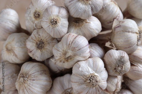 close-up pile of garlic background