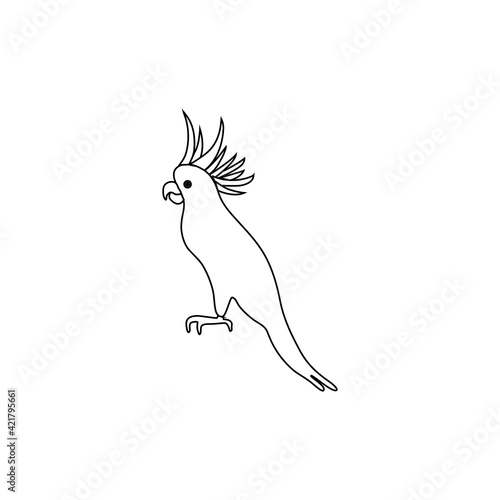Decorative parrot kakadu, Australian wild animal, Tropical bird cartoon character design, Cute flat vector line art illustration isolated on white, for design zoo alphabet, invitation, greeting card