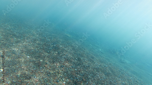Unterwasseraufnahmen © Alexander