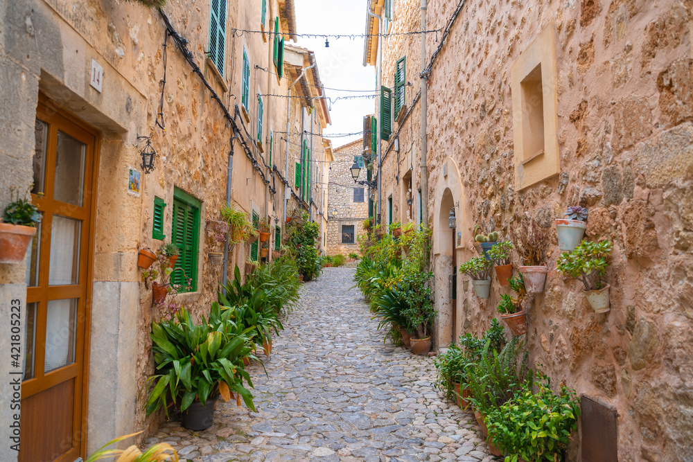 Beautiful streets with plants in the village of Valldemossa in the Sierra de Tramuntana. Palma de Mallorca, Spain (Perfect for Copyspace)
