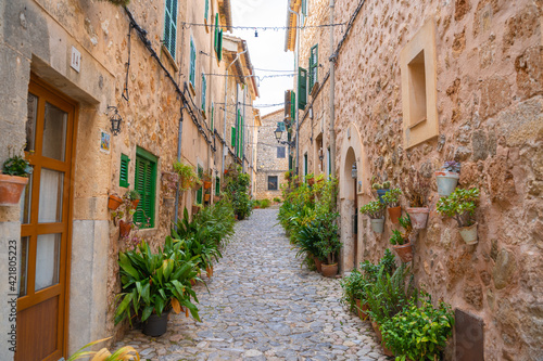 Beautiful streets with plants in the village of Valldemossa in the Sierra de Tramuntana. Palma de Mallorca  Spain  Perfect for Copyspace 