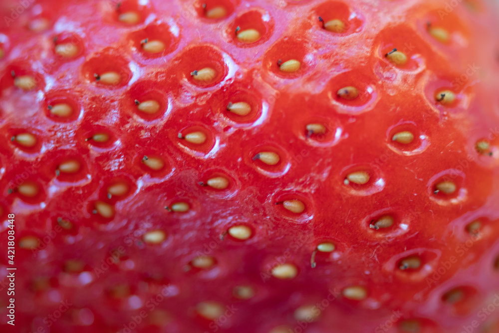 close up of strawberry close up of strawberry