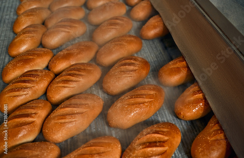 Automatic line for the production of bakery products with a loaf on a conveyor belt, equipment in the workshop of a confectionery factory, industrial food production. Production oven at the bakery.