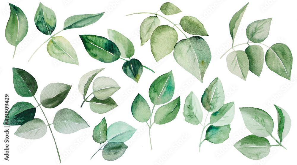 Watercolor green roses leaves Illustrations