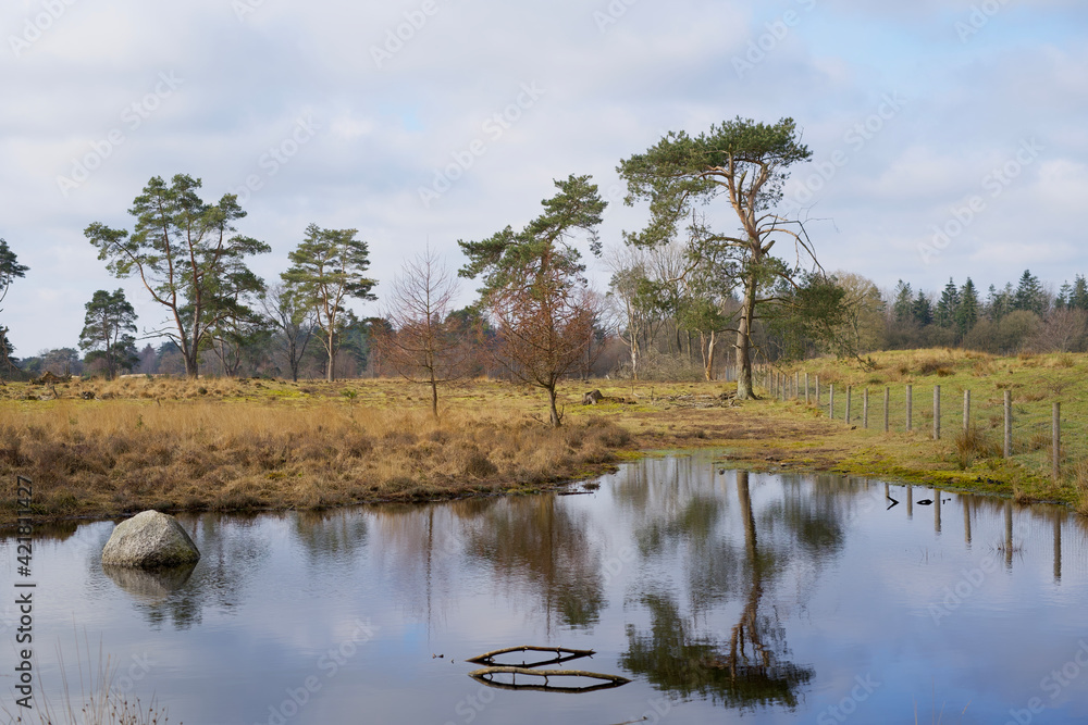 lake on heathland in Drenthe near Allardsoog in winter lake on heathland in Drenthe near Allardsoog in winter