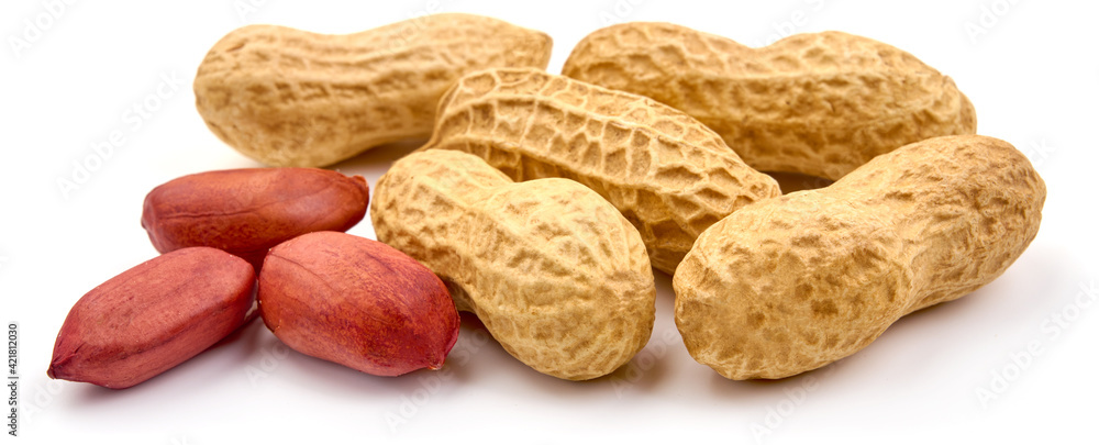Useful peanut, isolated on white background. High resolution image Useful peanut, isolated on white background. High resolution image