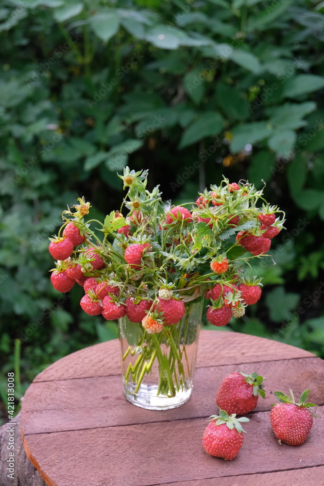 Bouquet of fresh branches with wild strawberries in old glass and and three berries on wooden desk on grass background, summer day, horizontal photo, vintage style