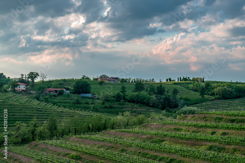 Spring stormy sunset in the vineyards of Collio Friulano, Friuli-Venezia Giulia, Italy