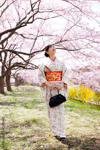 Japanese woman wearing kimono and cherry blossoms