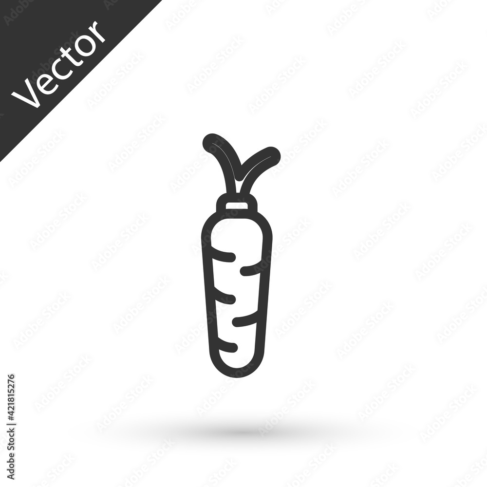 Grey line Carrot icon isolated on white background. Vector Grey line Carrot icon isolated on white background. Vector