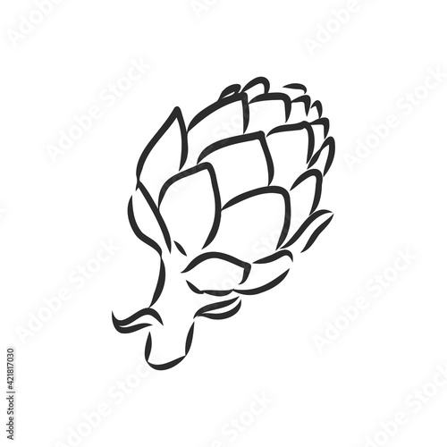 vector set of engraving illustration green vegetables artichoke on white background